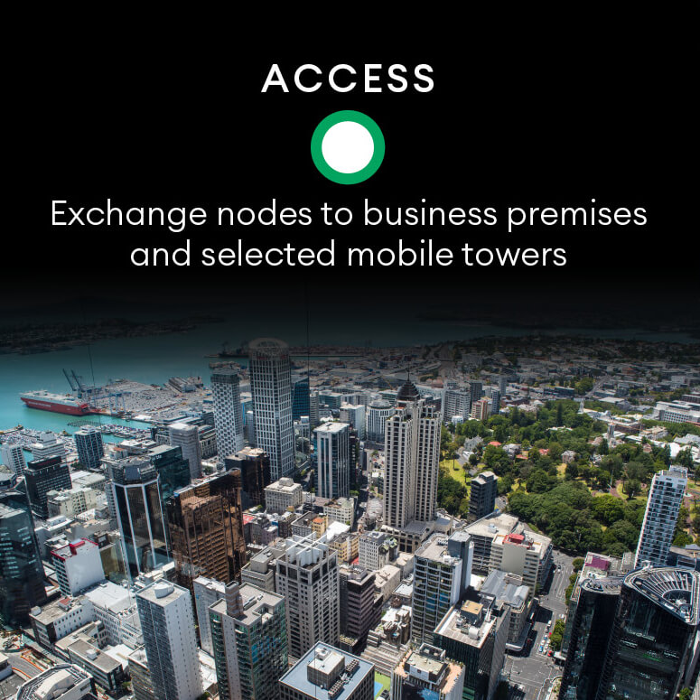 Access - Exchange nodes to business premises and selected mobile towers